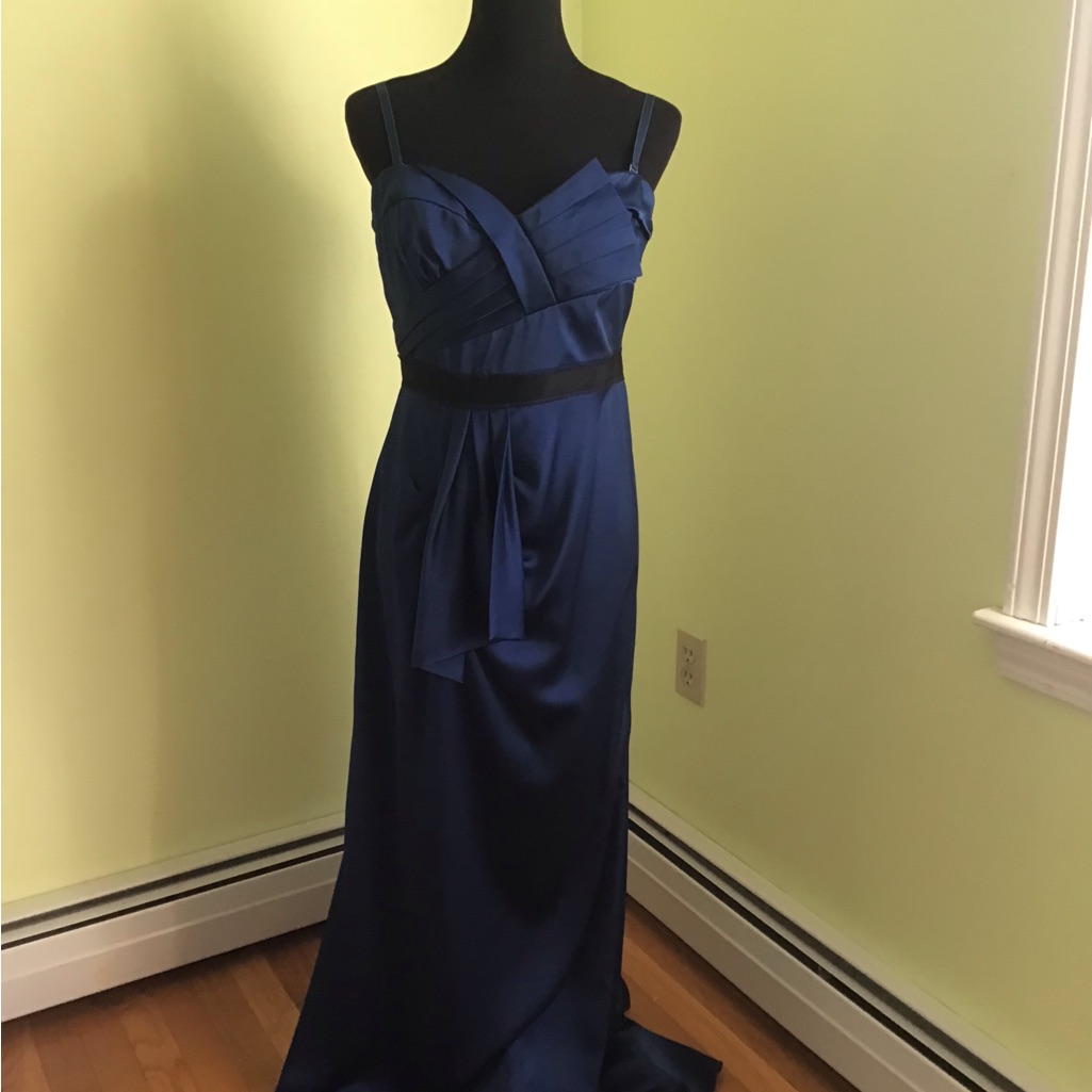 Bcbg Maxazria Long Dress
